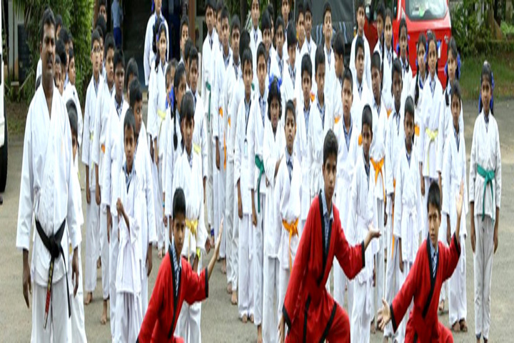 St Antonys English Medium School-Karate