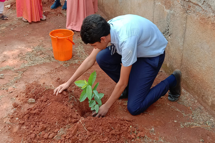 St JosephS School-Plantation