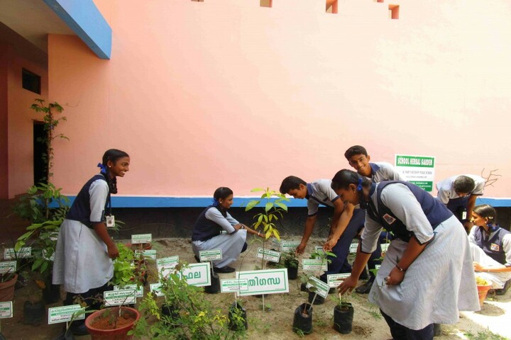 St Mary S Bethany Public School-Environment Day