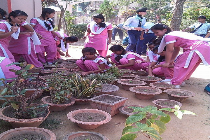 Sri Sathya Sai Vidya Vihar- Plantation Day