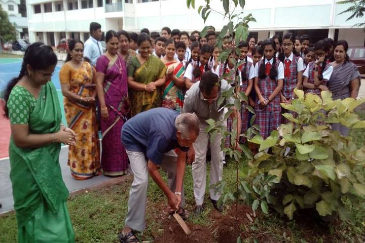 St Marys Residential Public School-Tree Plant