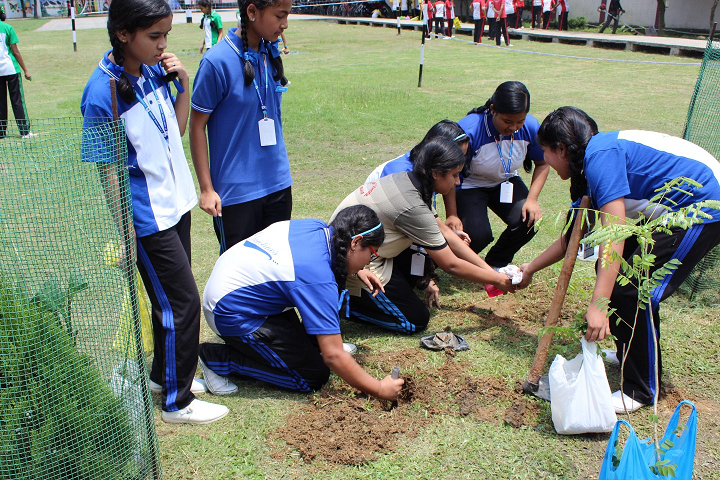 St Claret School- Plantation